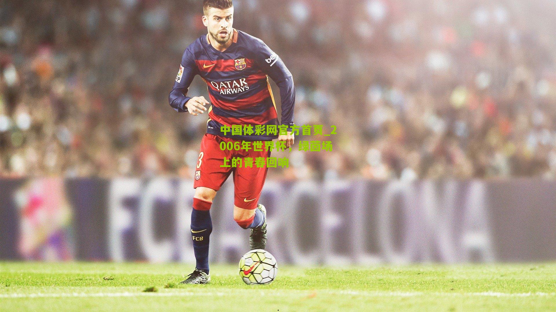 2006年世界杯,绿茵场上的青春回响