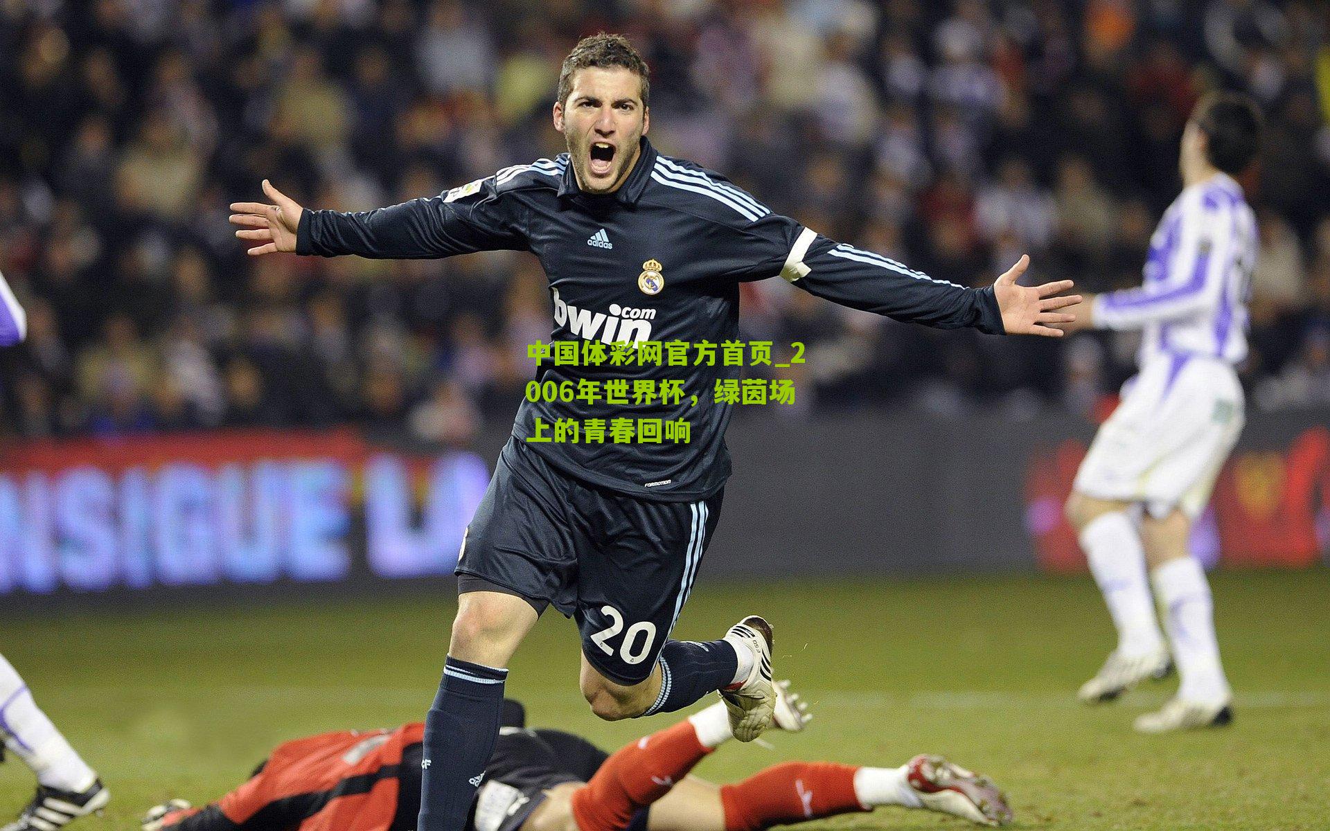 2006年世界杯,绿茵场上的青春回响