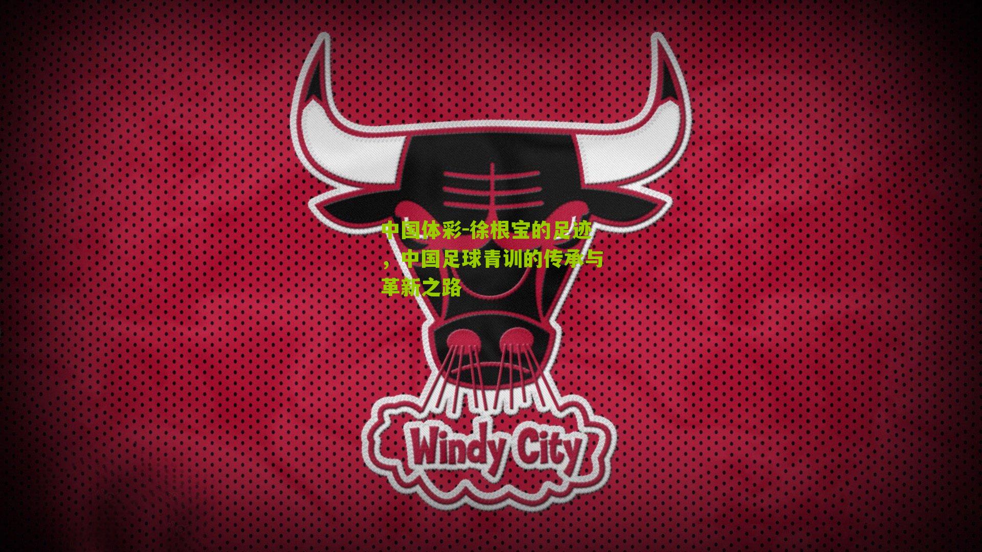 徐根宝的足迹,中国足球青训的传承与革新之路